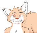 Furry Portaits by PeanutOtter
