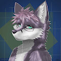 fox - headshot