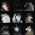 WOLF HEADSHOT ADOPTS
