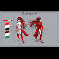 Carter Reference Sheet by kitsuneismything