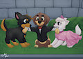 Arrby's Choice CH 9: Squabble by Biowolf12