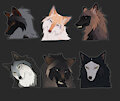 OPEN HEADSHOT by somnoire