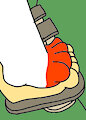 Footsie