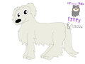 English Golden Retriever
