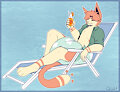 Summer Skitty by qoat