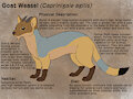 The Goat Weasel by ShamanSquirrel