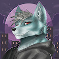 Wolf - Headshot