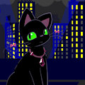 Black Cat by elPatrixF