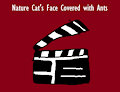 Nature Cat's Face Covered with Ants