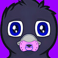 2nd Wlu icon