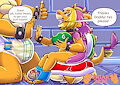 Training Shell by Friar