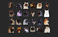 WOLF HEADSHOT ADOPTS