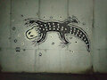 Graffiti