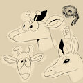Kyp Style and Expression Practice by TrevorFox