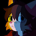 shade pfp 2 by MiniShadeFox
