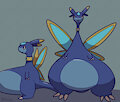 elphidran aqua