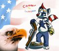 Americoon 