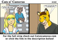 Cats n Cameras Strip #182 "Gentle Daydreams"