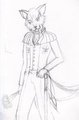 Fancy Outfits  by Doubleofox