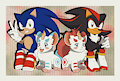 Sonic, Shadow, Tianlu and Bixie