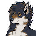 Kivi Reference by Tereus