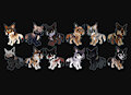 OPEN CHIBI ADOPTS