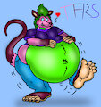 Big Plump Possum Henry by TheRedSkunk
