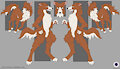 Red and Cream Borzoi Adopt-OPEN