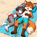 Vinscent the fox and Fiona the bunny dozing off together at the beach by Vinscent