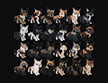 OPEN WOLF ADOPTABLE CHIBIS