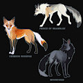 OPEN // FOX ADOPTABLES by somnoire