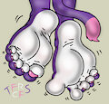 Gabriella The Cat Footshot