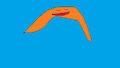 Boomerang scott fox