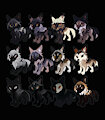 OPEN WOLF ADOPTABLE CHIBIS