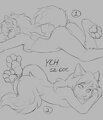 Another bunch of two 🐾 by Elronya