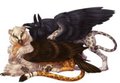 Commission - Fluffy Feathers