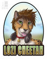Badge from Zen for EF 19