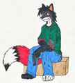 colored foxadillo by armoredvulpine