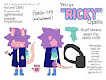 Ricky (Fursona) - New Ref Sheet (SFW) by opalstar526