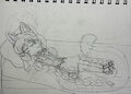 The Sleeping Cat (1/2) by JurassicWorldGirl