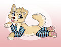 Doggy In Socks by StellaKittyArt