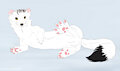 chiropica .:COM:. by FrickenStoat