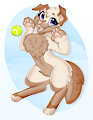 Puppy Playing Catch by StellaKittyArt