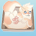 [C] Kip