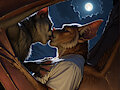 AI / Dont fear the night - you are not alone by lutra1975