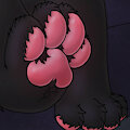 Ratthew's Paw Therapy