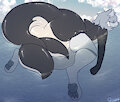 Orca by qoat