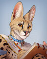 Serval Profile Pic 2020