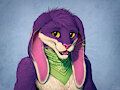 Zip by TitusW