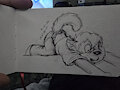 Strech by masterlupus